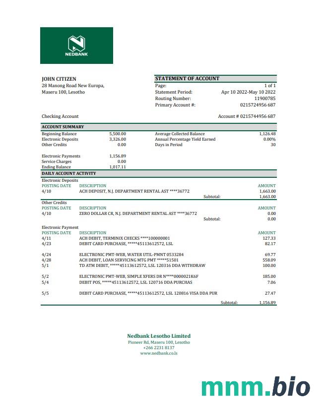 Wyciąg bankowy Lesotho Nedbaank Excel i szablon PDF